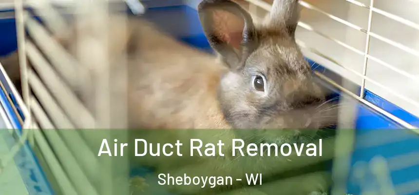 Air Duct Rat Removal Sheboygan - WI