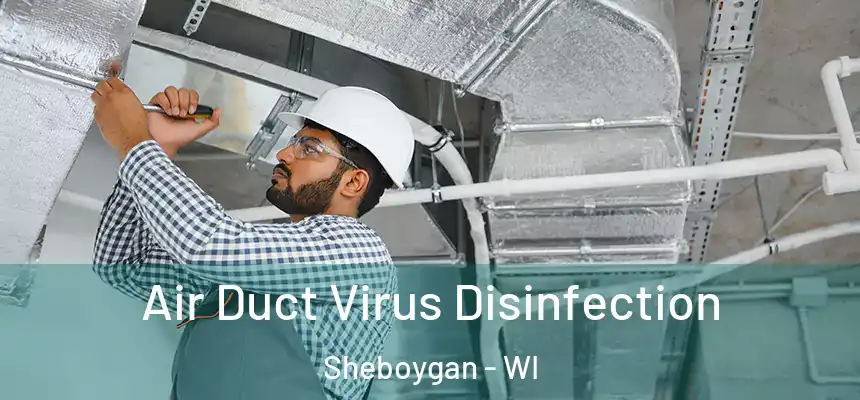 Air Duct Virus Disinfection Sheboygan - WI