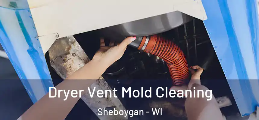 Dryer Vent Mold Cleaning Sheboygan - WI