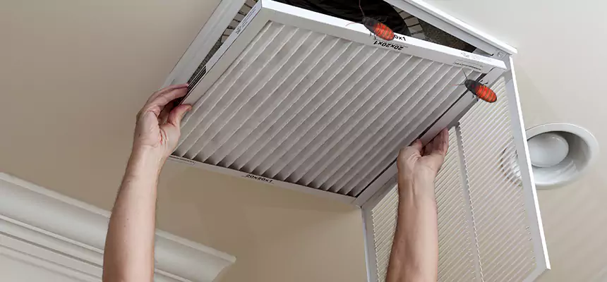 Preventive Cockroach-Proofing for Ducts in Sheboygan
