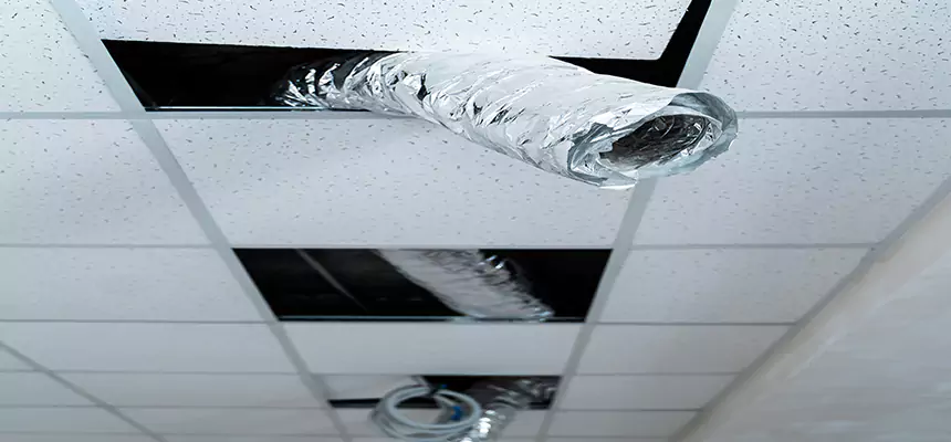 Our Air Duct Pet Hair Removal Services in Sheboygan, WI