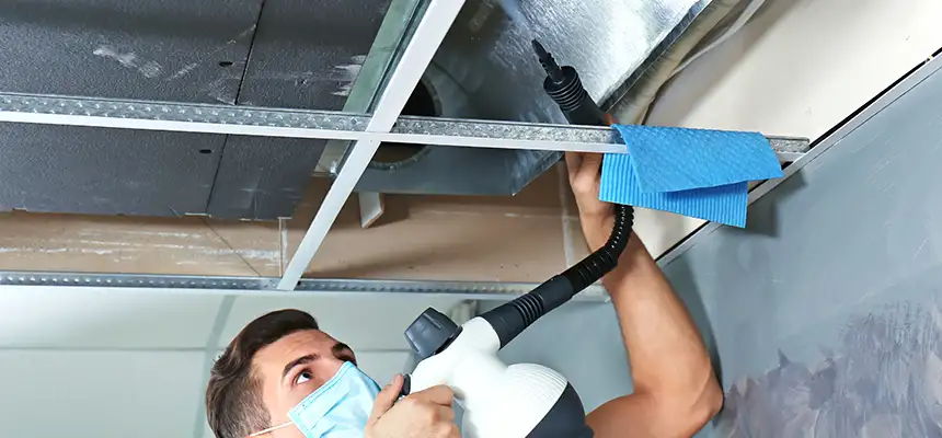 Our Air Duct Rodent Removal Services in Sheboygan, WI