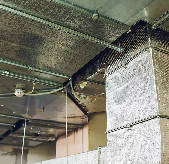 Why Homeowners & Businesses Trust Us in Sheboygan, WI?